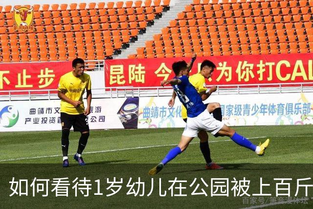 如何看待1岁幼儿在公园被上百斤钢板砸中身亡，钢板没固定但父亲曾起跳碰到，谁该为此事担责？仅赔偿30万合理吗？