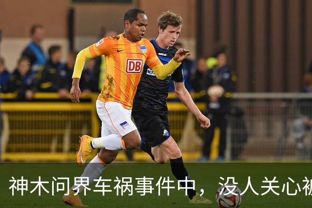 神木问界车祸事件中，没人关心被烧死的那个人
