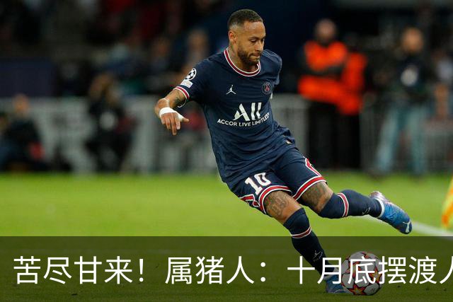 苦尽甘来！属猪人：十月底"摆渡人"悄然降临