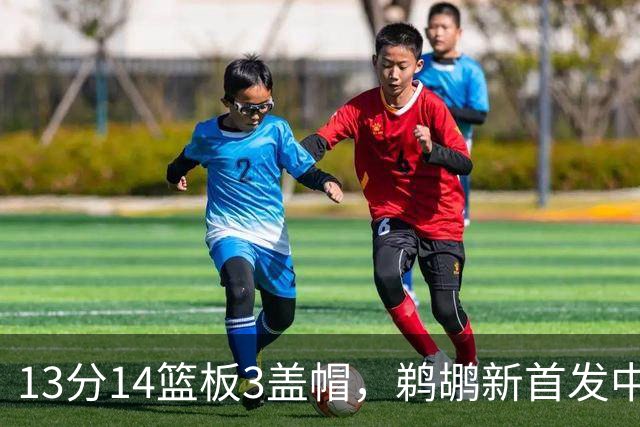13分14篮板3盖帽，鹈鹕新首发中锋首秀交出两双